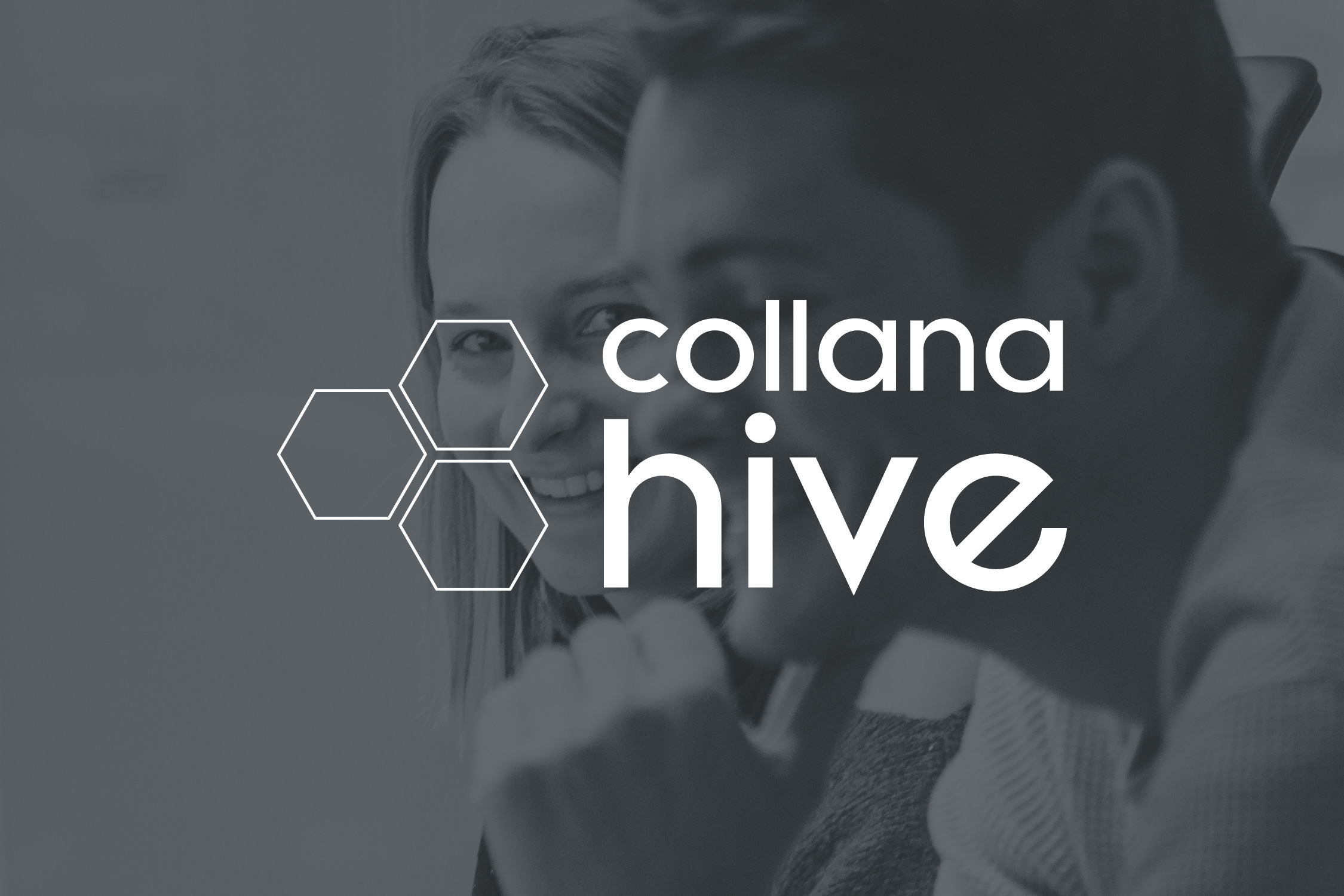 collana hive GmbH: Agiles Unternehmen für smarte B2B Apps gegründet